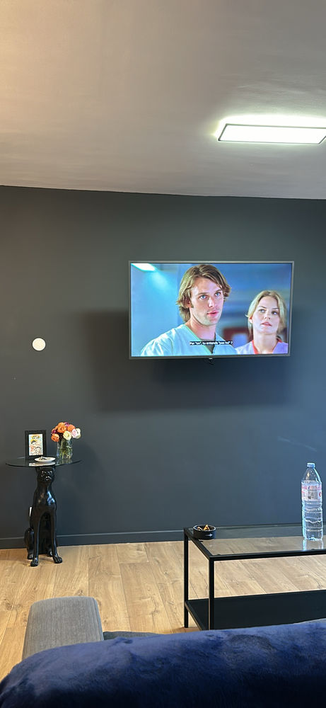 Tv Philips 50 ambilight 456 Toulouse (31)