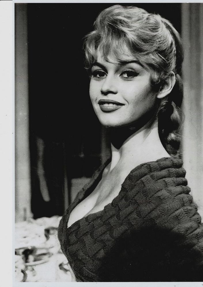 Photo buste Brigitte Bardot 6 Castres (81)