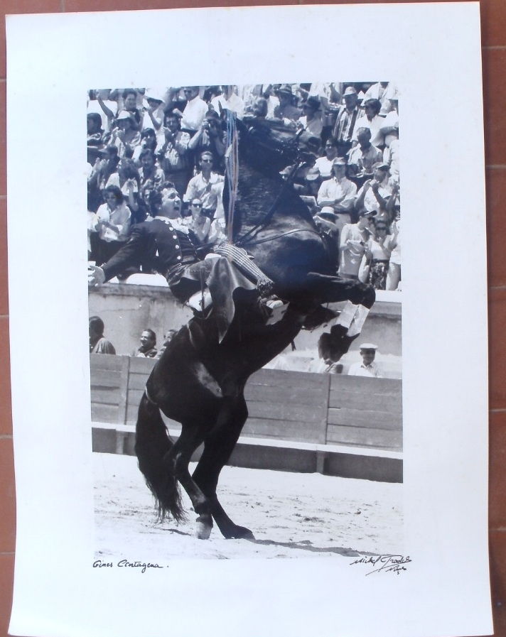 Photo Gin�s CARTAGENA 20 cm x 30 cm - tauromachie 10 Montauban (82)