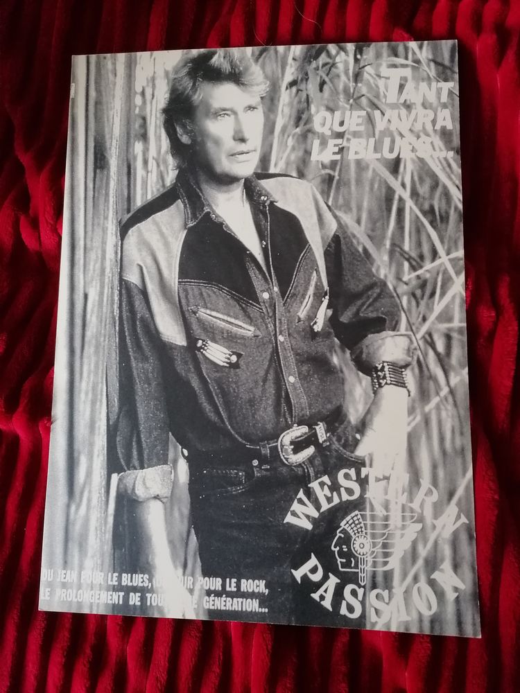 Photo Johnny Hallyday 10 Cognin (73)