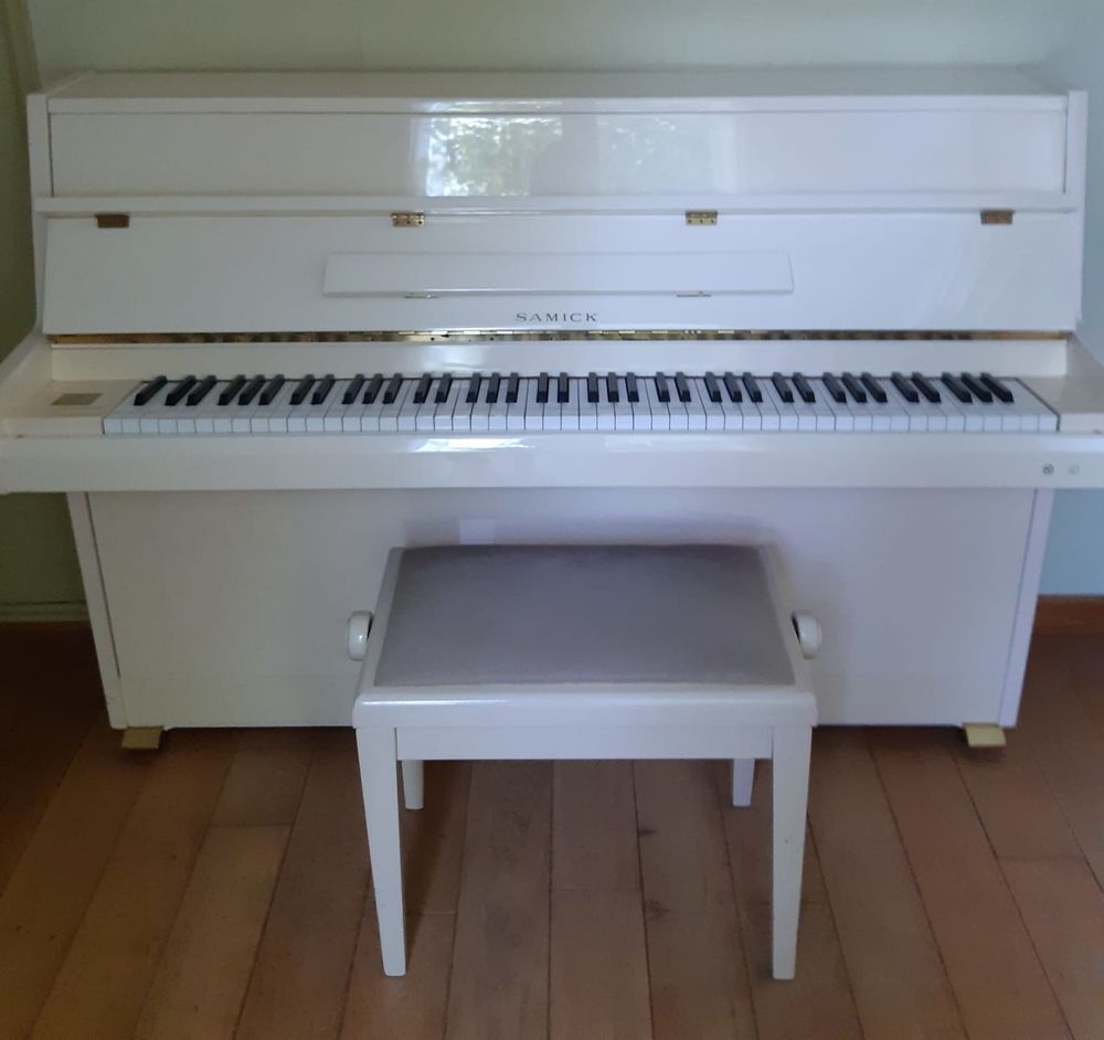 Piano d'apprentissage SAMICK 900 Pertuis (84)
