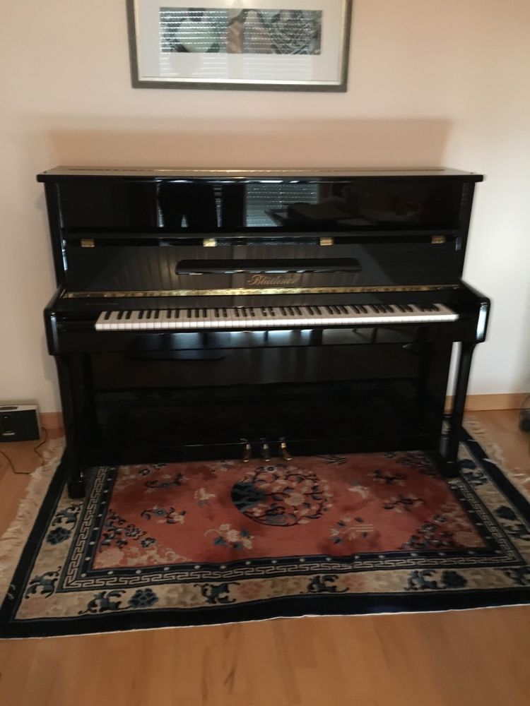 Piano Bluthner Model C 5000 Gex (01)