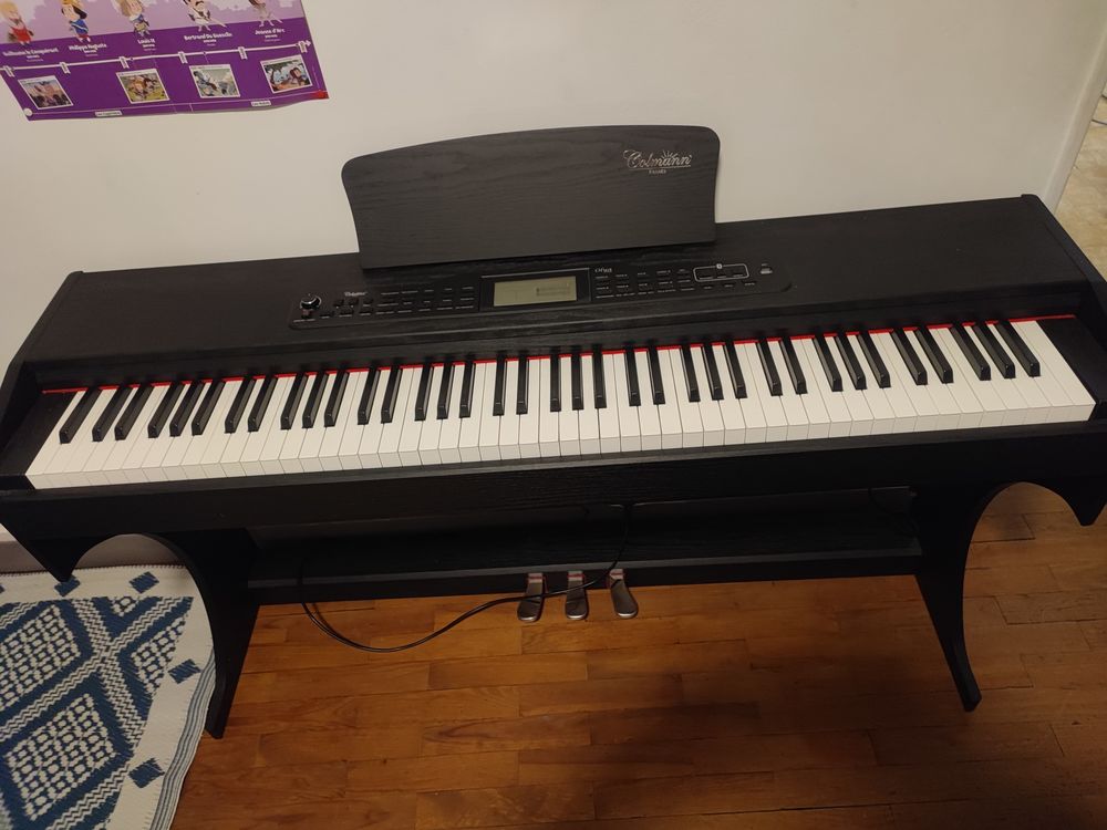 Piano Collann France 250 Aime (73)