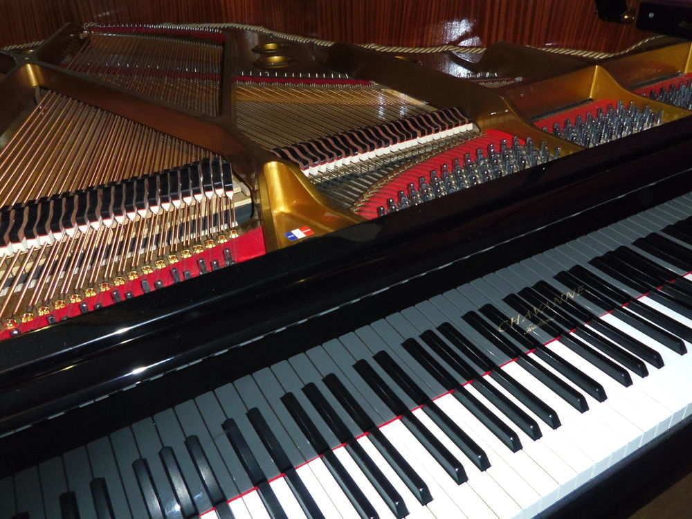 Piano demi queue 12900 Sainte-Colombe-sur-l'Hers (11)