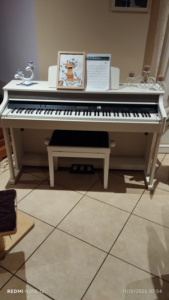 piano digital THOMANN DP 95 350 La Caill�re-Saint-Hilaire (85)