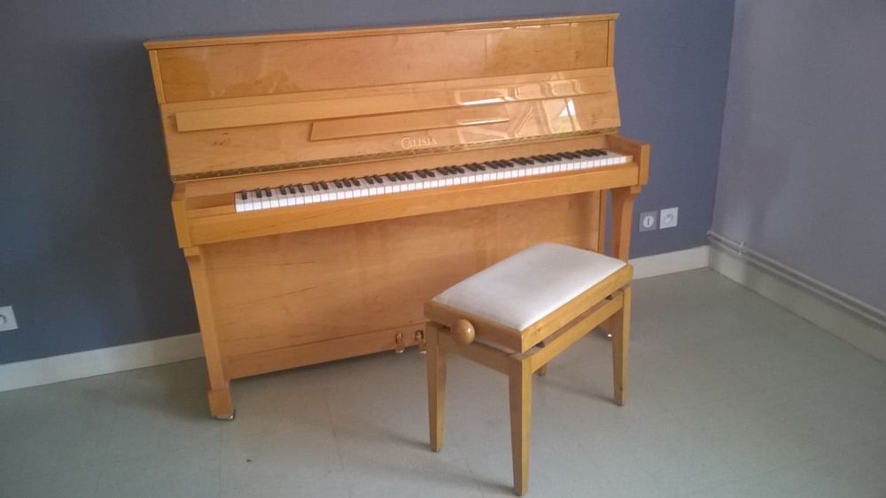 PIANO DROIT AVEC SON TABOURET 2000 Foix (09)