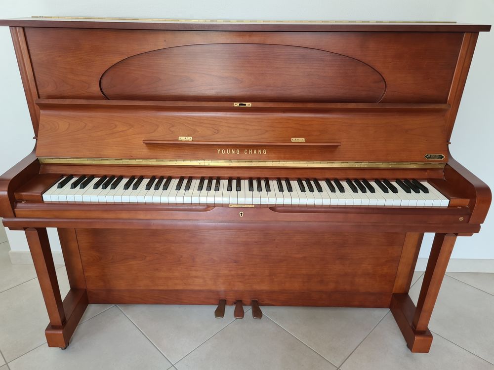 PIANO DROIT D'EXPRESSION Young Chang 2500 La Roche-Bernard (56)