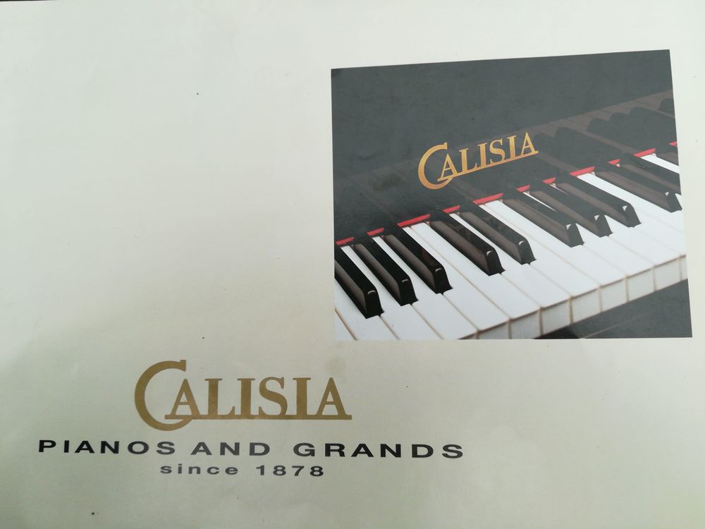 PIANO DROIT RAPSODIA 0 Marly (59)