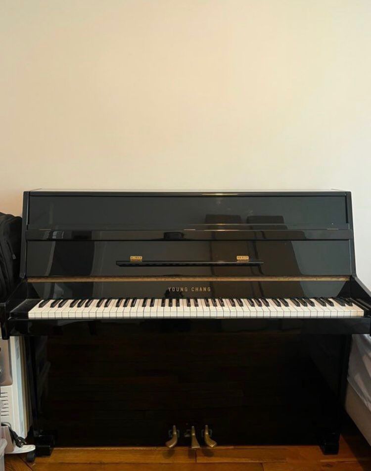 Piano droit Young Chang
1500 Villepinte (93)