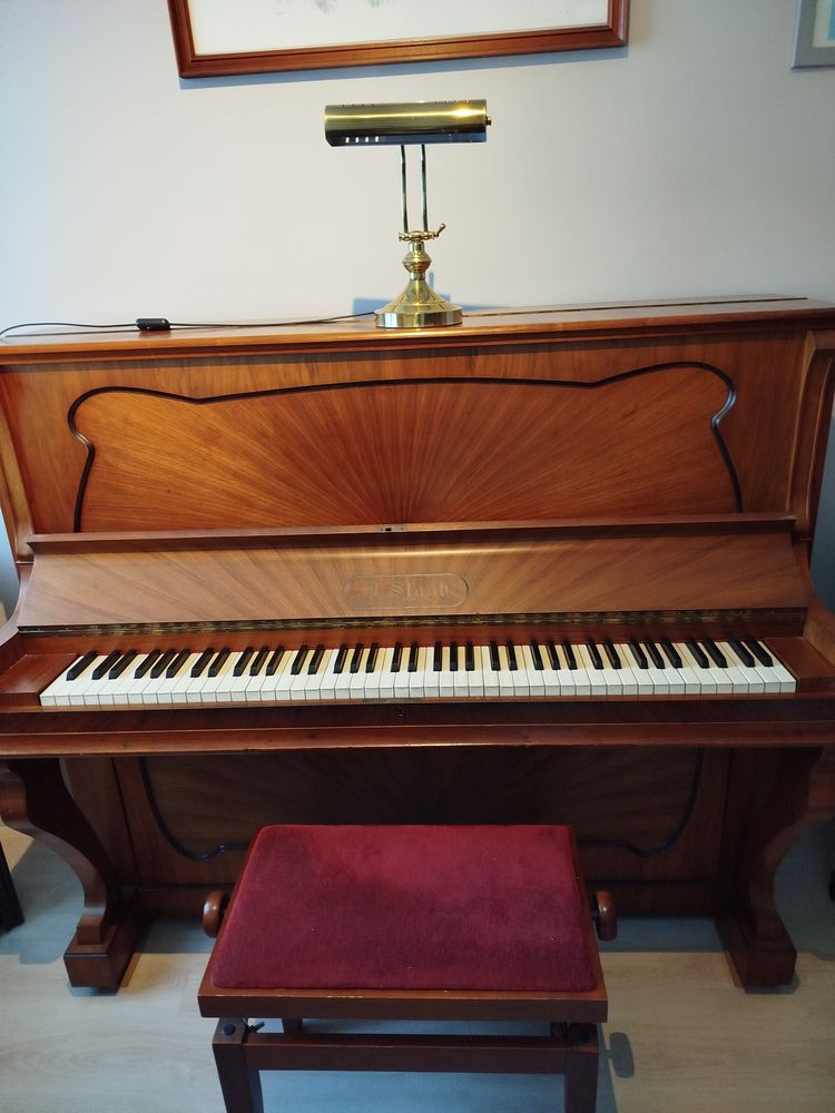 Piano droit 350 Chaponnay (69)