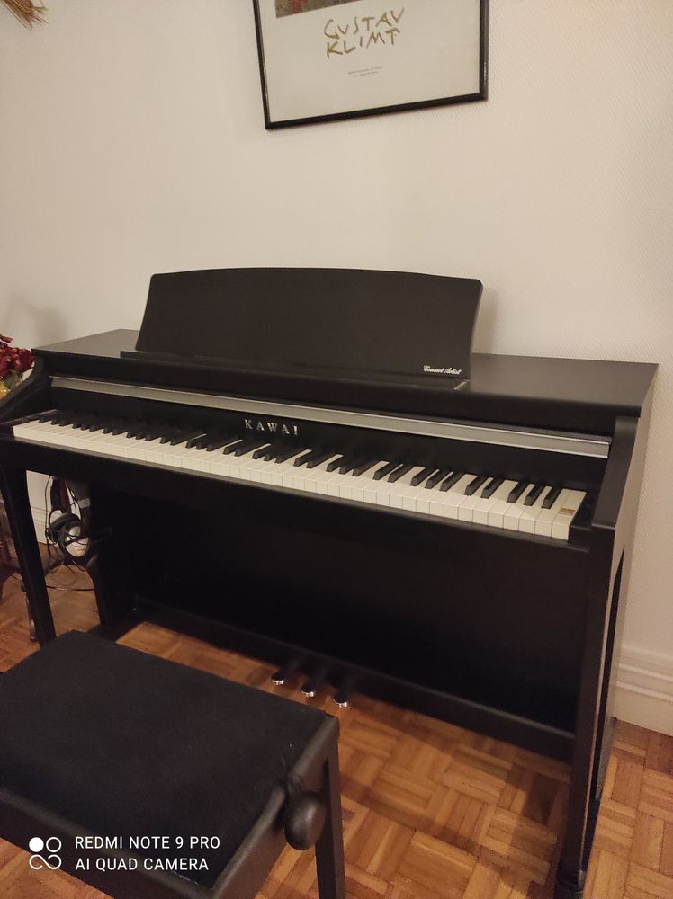 piano électrique Kawai 1200 Bordeaux (33)