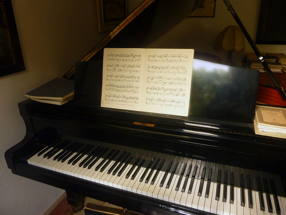 Piano d'exception. Magnifique FEURICH 3/4 de queue de 1985 30000 V�z�nobres (30)