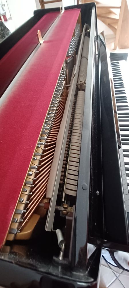 piano George Steck 500 Comines (59)