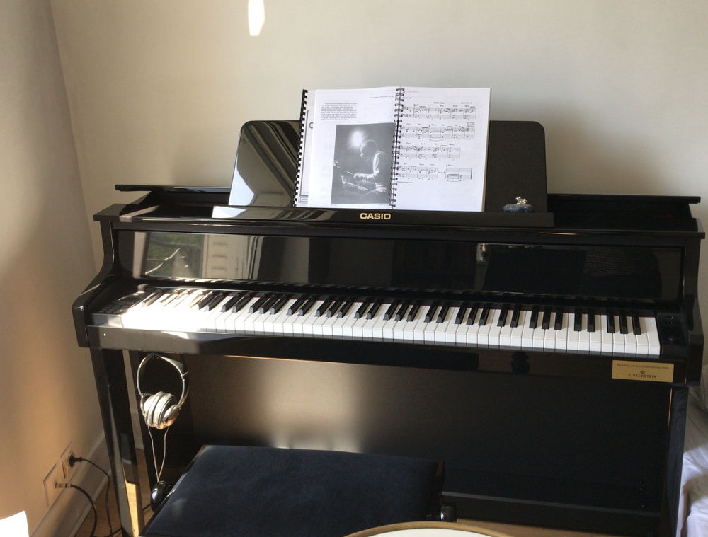 Piano hybride Casio GP510 2500 Paris 11 (75)