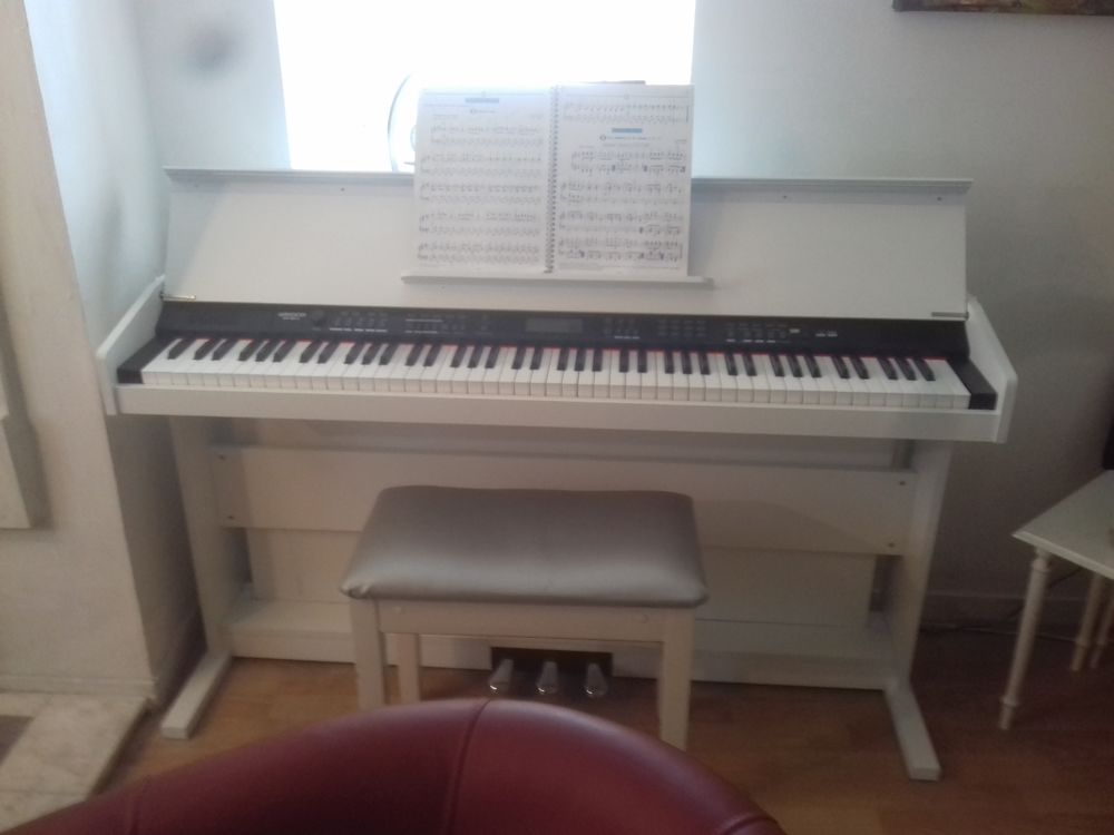 piano num�rique FUNKEY neuf 400 Villemort (86)
