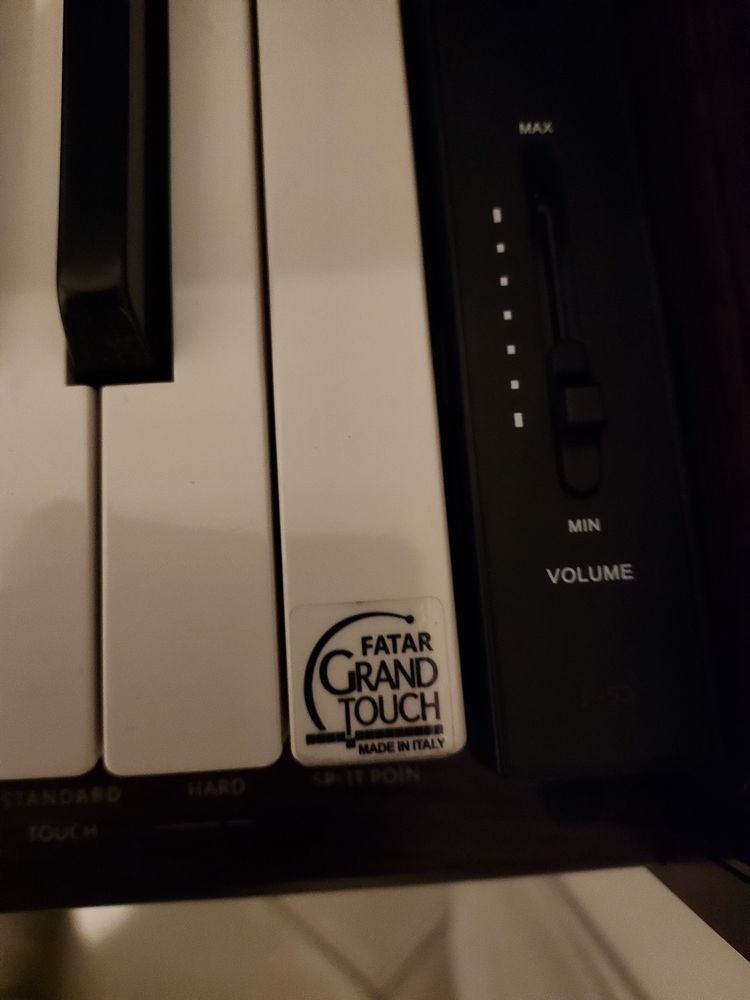 Piano numerique Pearl River F53 690 Saint-Pierre-d'Ol�ron (17)