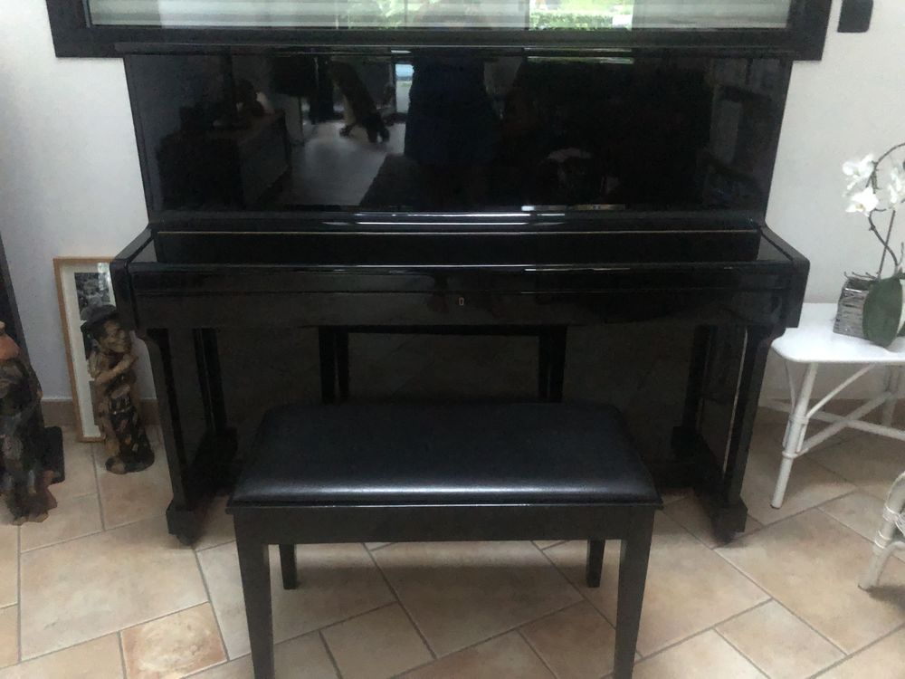 Piano Pearl River 850 Malestroit (56)