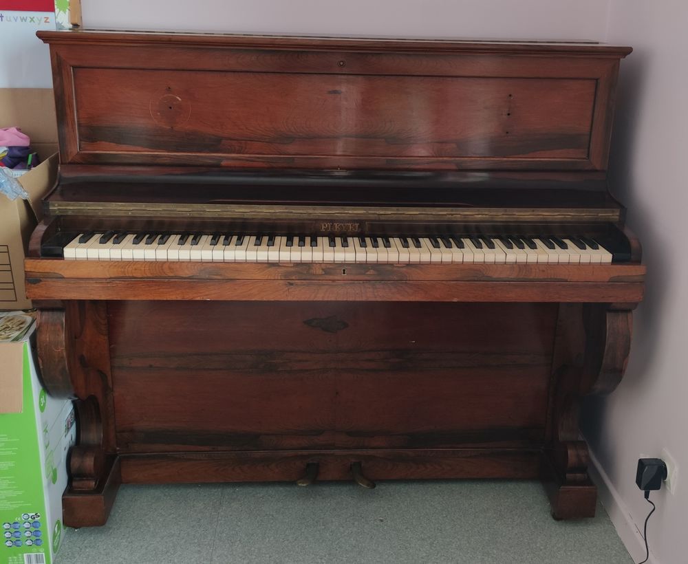 Piano Pleyel 1874 0 Sainte-Anne-sur-Gervonde (38)