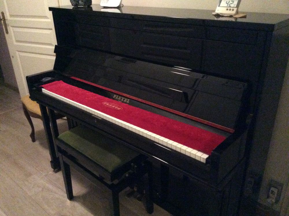 Piano PLEYEL 6000 Gaillard (74)