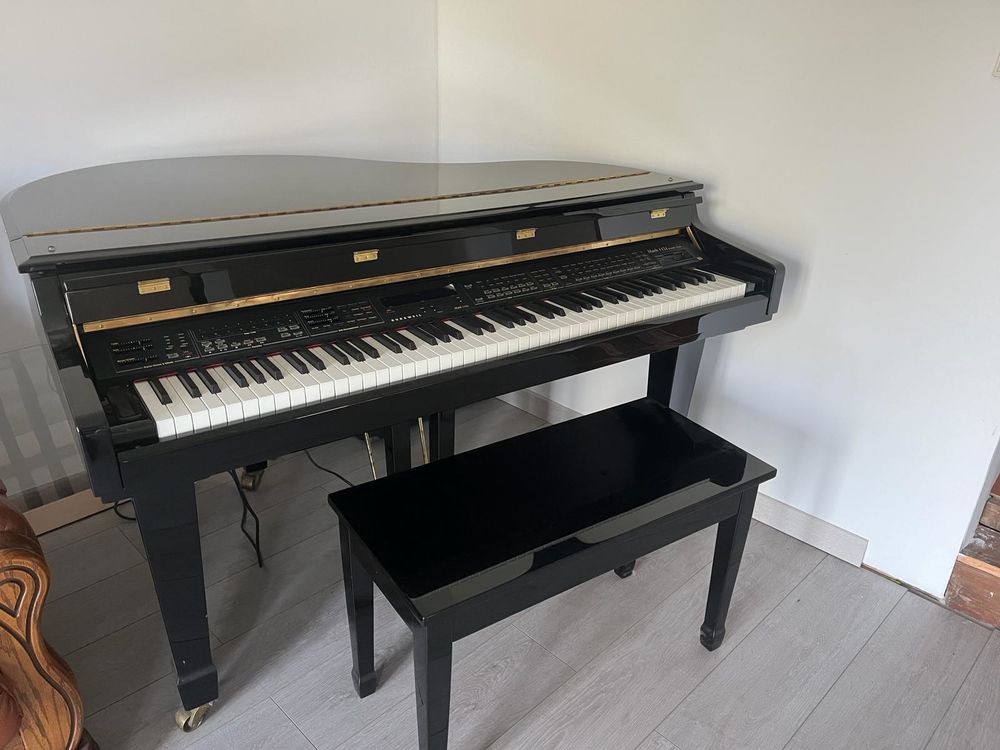 Piano quart de queu 0 Sarralbe (57)