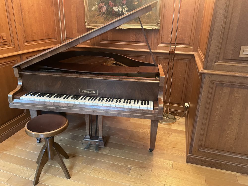 piano quart de queue 0 Reims (51)