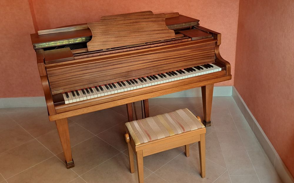 Piano quart de queue 0 Anais (16)