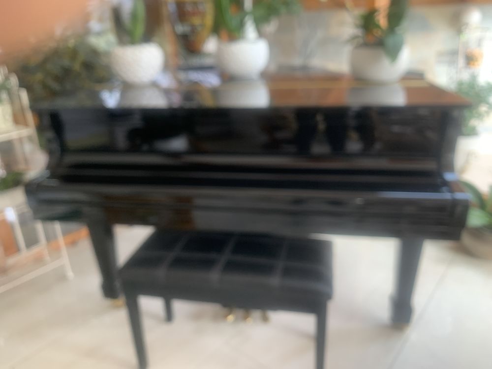 Piano quart de queue Choiseul 4500 Cressin-Rochefort (01)