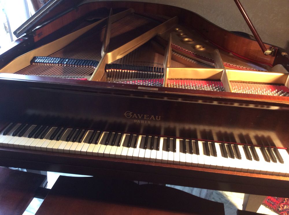 piano  1/2 queue   204cm 
5000 Villedubert (11)