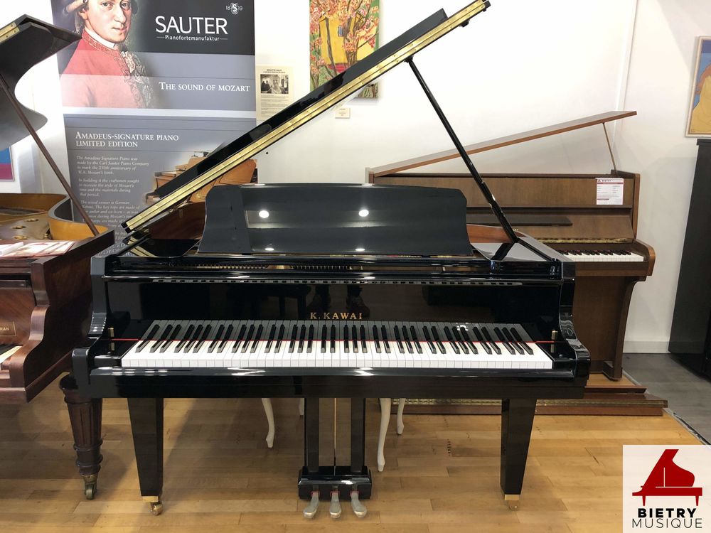 Piano à queue C.Bechstein Concert L-167 Acajou laqué 30000 Lyon 5 (69)