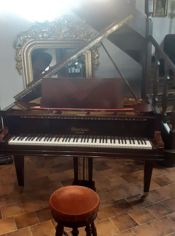 Piano à queue Gaveau modèle 1 soleil 1925 12000 Paris 1 (75)