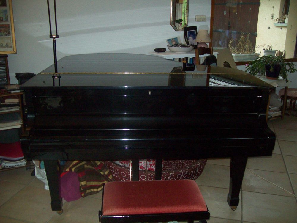 piano 1/4 de queue KAWAI  KG-2D 11000 Cras (38)