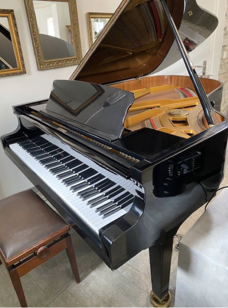 Piano � queue PETROF P194 11000 Marseille 8 (13)