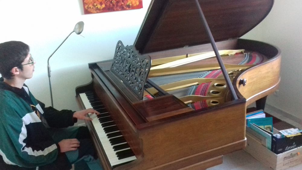 piano 1/2 queue Pleyel 6500 Crest (26)