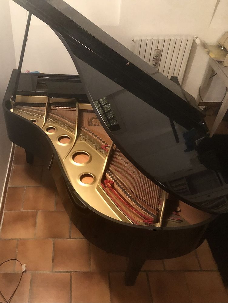 Piano 1/4 de queue Yamaha G3 0 Toulouse (31)
