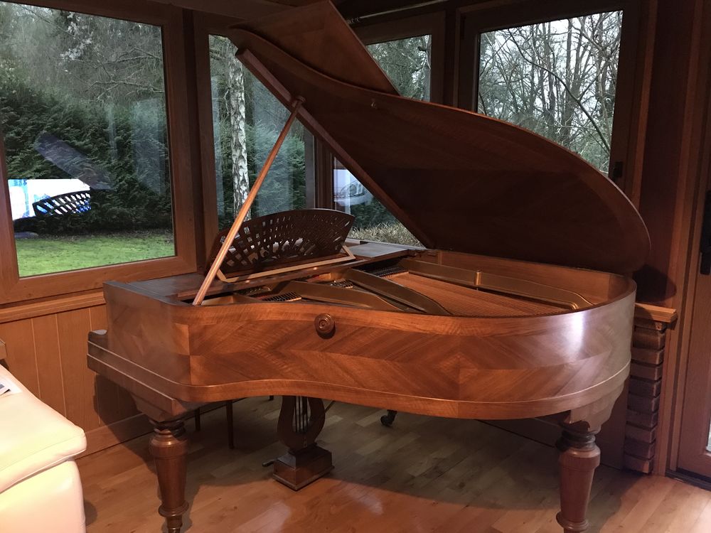 Piano a queue 8000 Chalifert (77)