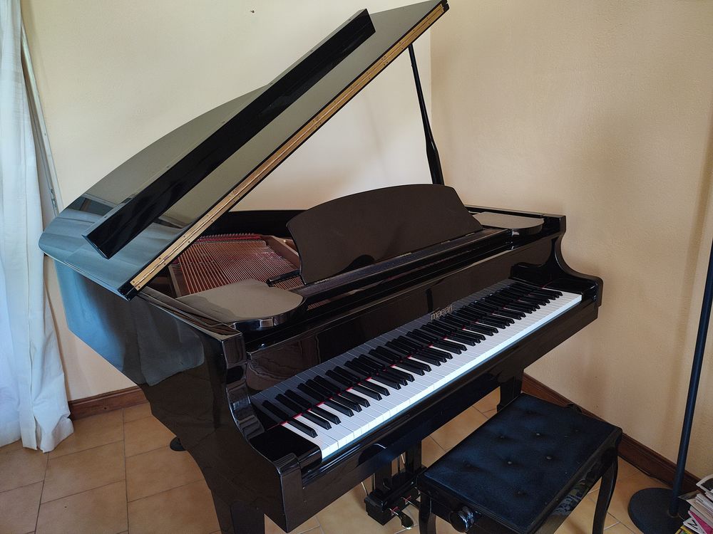 PIANO 1/4 DE QUEUE 3000 Burie (17)