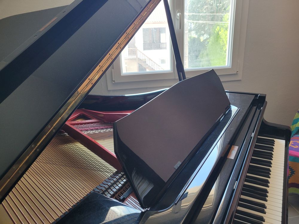 piano 1/4 de queue 9000 Saint-Vincent-de-Tyrosse (40)