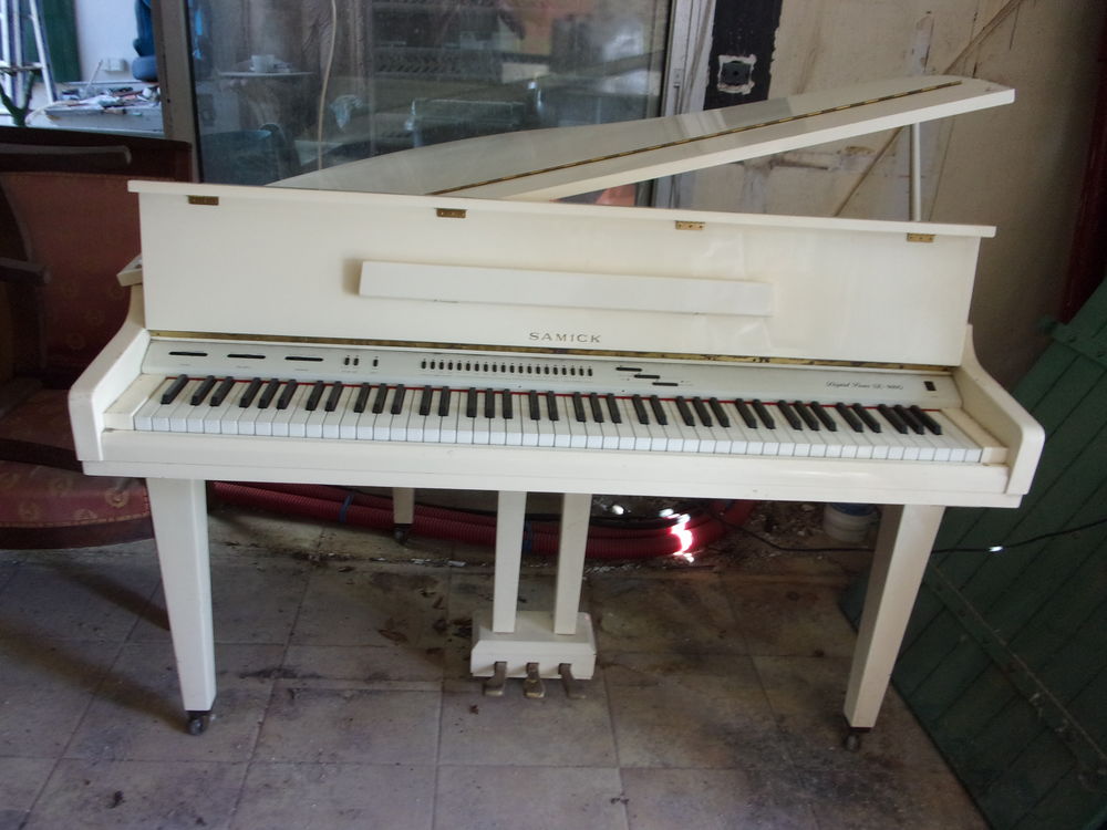 PIANO A QUEUE 300 La Flotte (17)