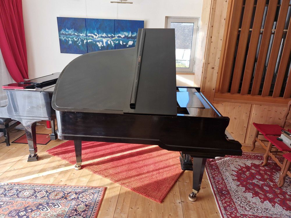 piano �   queue 3800 Paimpol (22)