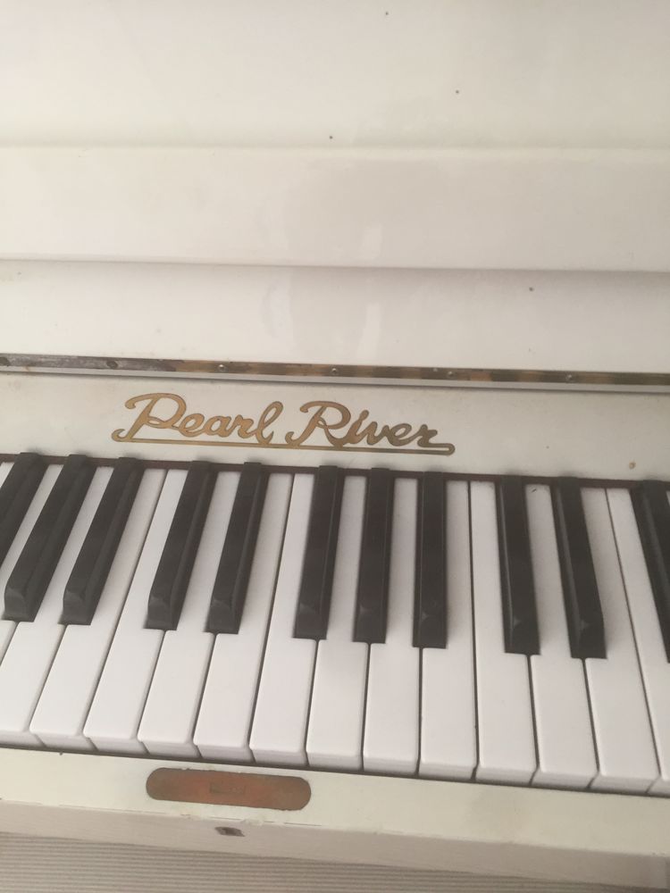 piano  REARL RIVER  500 Vence (06)