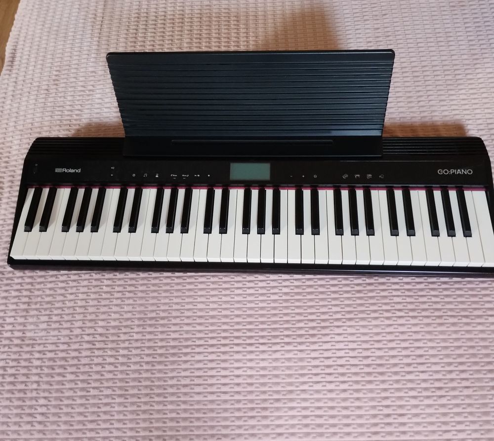 Piano Go Roland 61 touches+housse+bo�te 230 Belley (01)