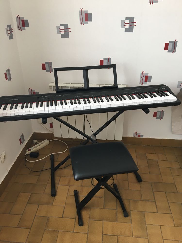 piano Roland 450 Sorbiers (42)