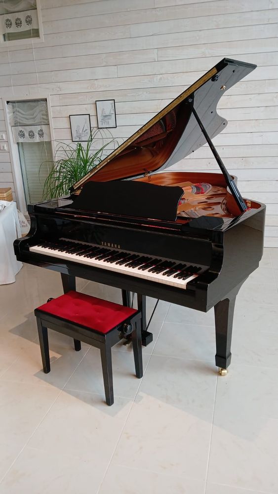 Piano Yamaha C6 25500 Lavaur (81)