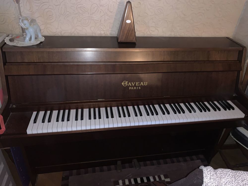 Piano 290 Rosbruck (57)