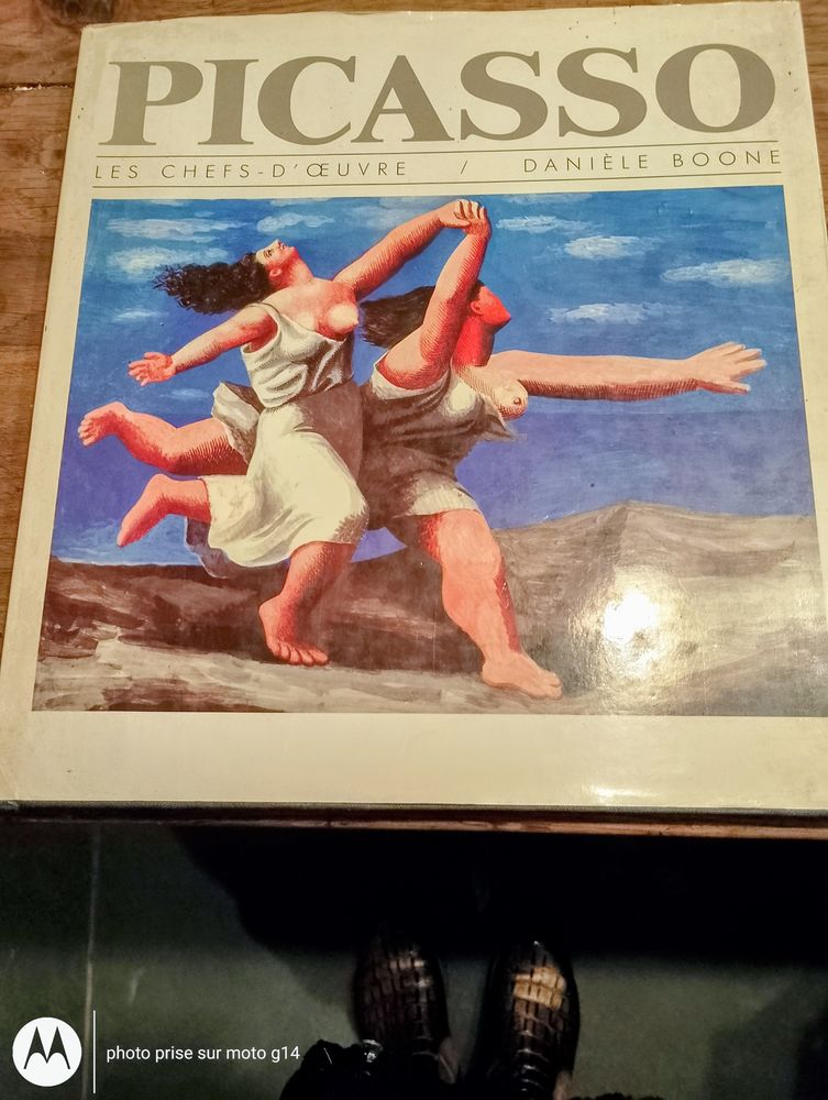 PICASSO - les Chefs d'Oeuvre 35 Lavaur (81)