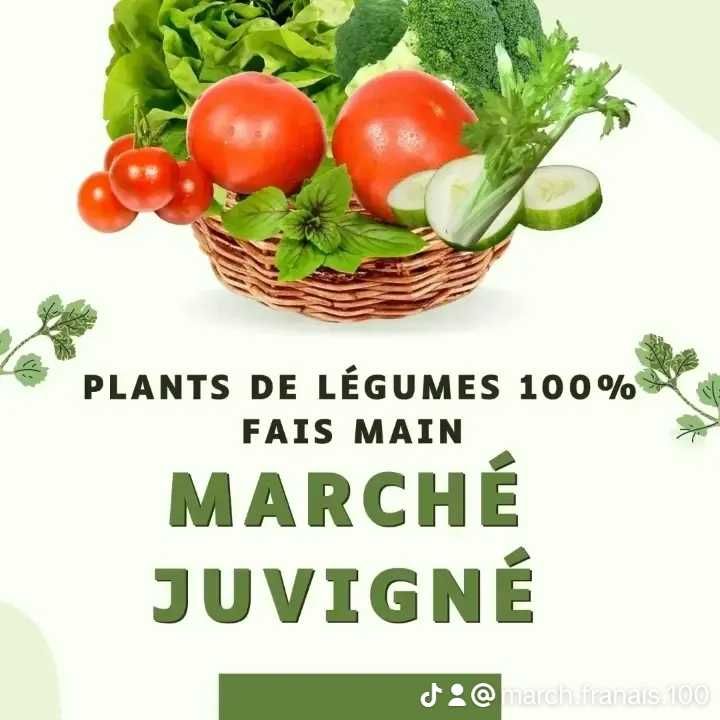 de pied de l�gumes et l�gumes sur le march� de Juvign� 0 Juvign� (53)