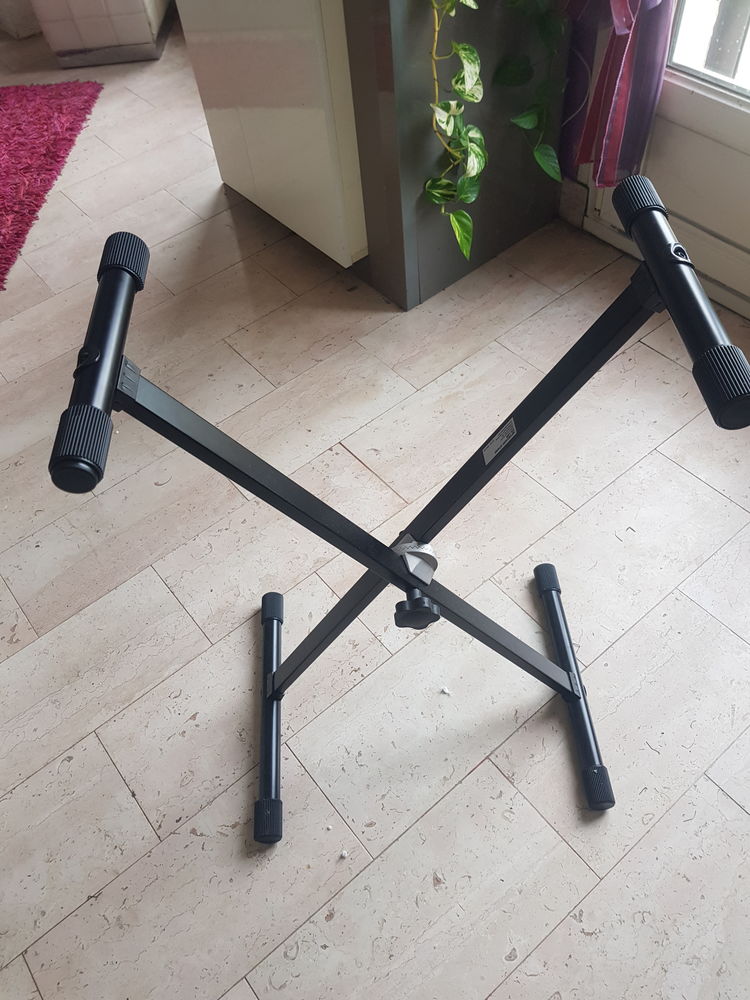 PIED POUR SYNTHE 15 Sarry (51)