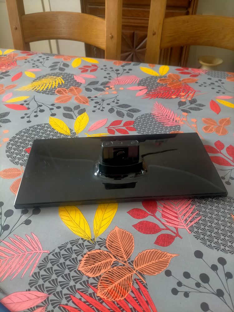 Pied tv 10 Albert (80)