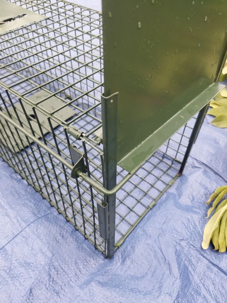 pi�ge de capture 35 Saint-R�my-l'Honor� (78)