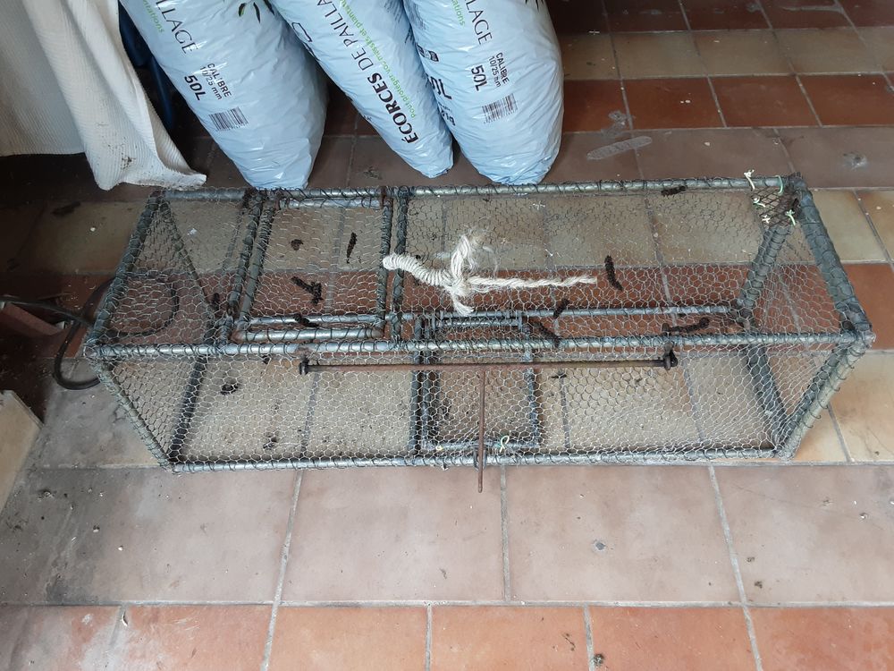 Pi�ge � nuisible 30 La Montagne (44)